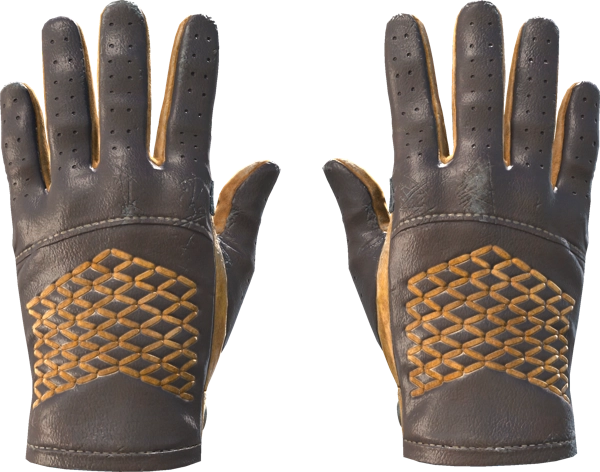 ★ Driver Gloves | Overtake