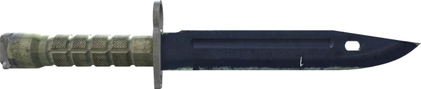 ★ StatTrak™ Bayonet | Blue Steel