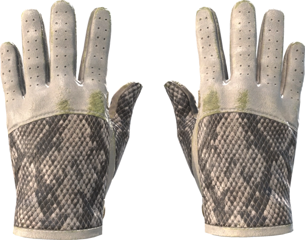 ★ Driver Gloves | King Snake