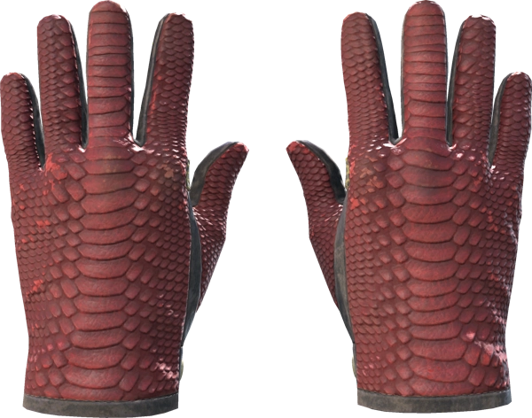 ★ Driver Gloves | Dragon Fists