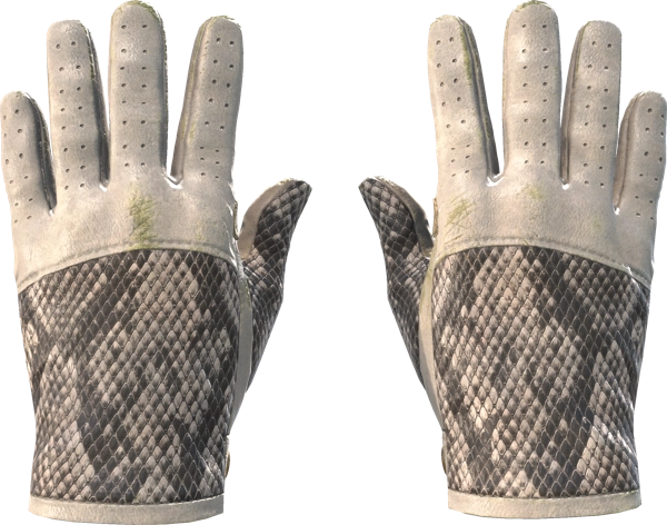 ★ Driver Gloves | King Snake