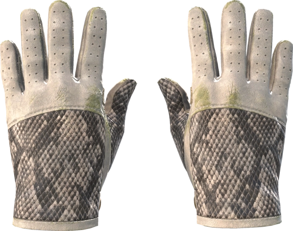 ★ Driver Gloves | King Snake