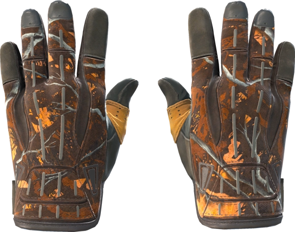 ★ Sport Gloves | Big Game
