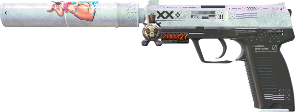 StatTrak™ USP-S | Printstream