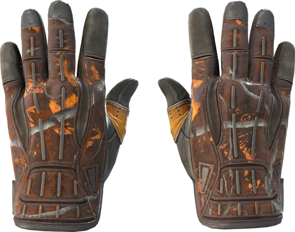 ★ Sport Gloves | Big Game