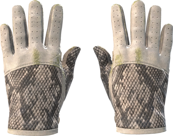 ★ Driver Gloves | King Snake