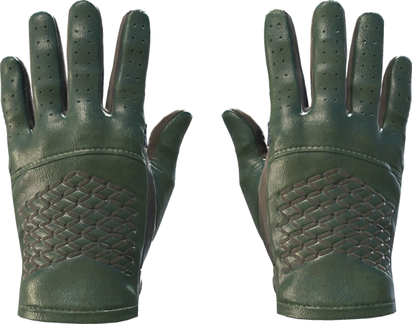 ★ Driver Gloves | Racing Green
