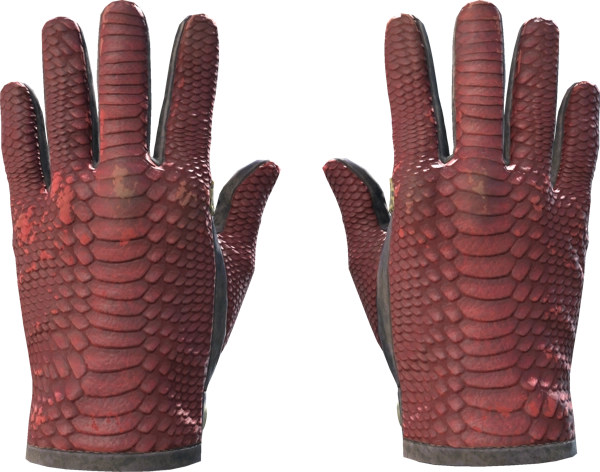 ★ Driver Gloves | Dragon Fists