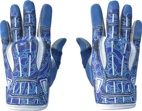 ★ Sport Gloves | Amphibious