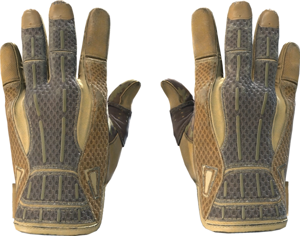 ★ Sport Gloves | Arid