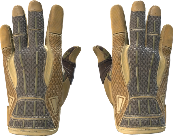 ★ Sport Gloves | Arid