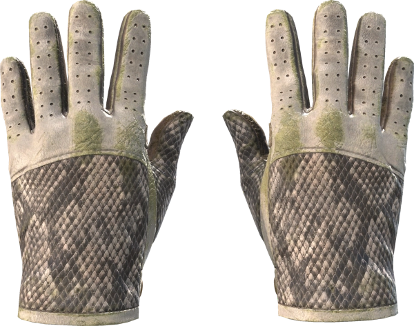 ★ Driver Gloves | King Snake