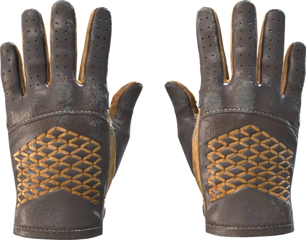 ★ Driver Gloves | Overtake