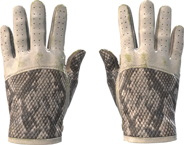★ Driver Gloves | King Snake