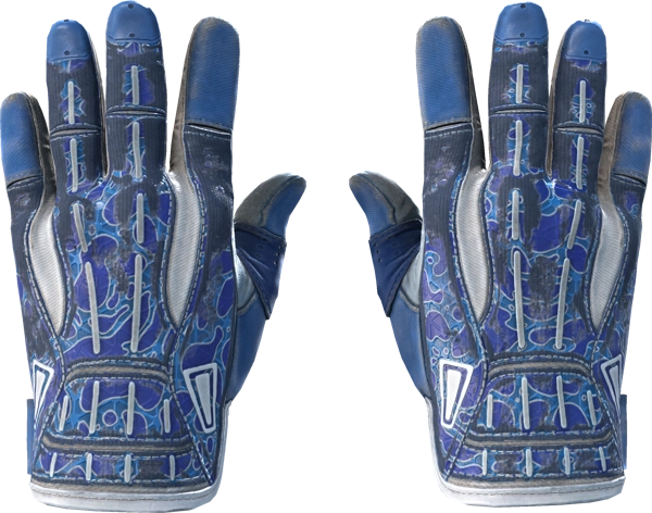 ★ Sport Gloves | Amphibious
