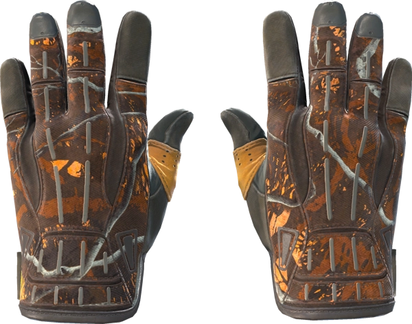 ★ Sport Gloves | Big Game