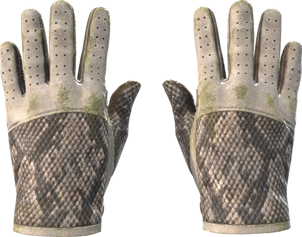 ★ Driver Gloves | King Snake