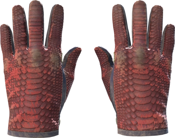 ★ Driver Gloves | Dragon Fists