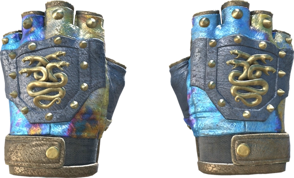 ★ Hydra Gloves | Case Hardened