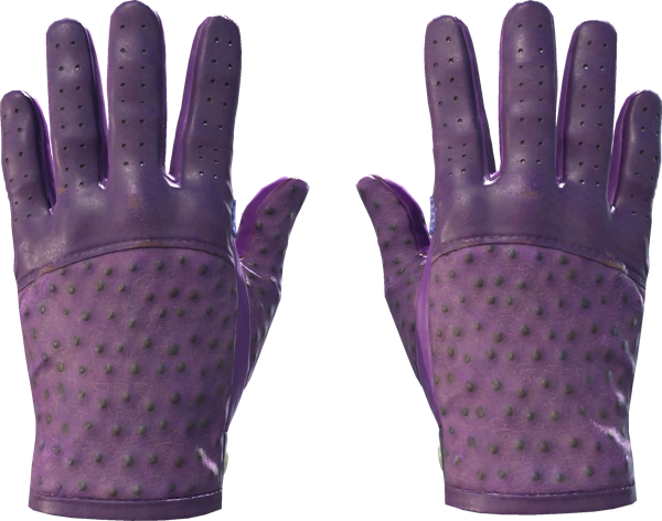 ★ Driver Gloves | Plum Quill