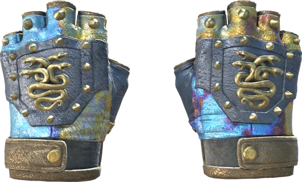 ★ Hydra Gloves | Case Hardened