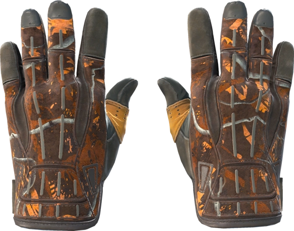 ★ Sport Gloves | Big Game