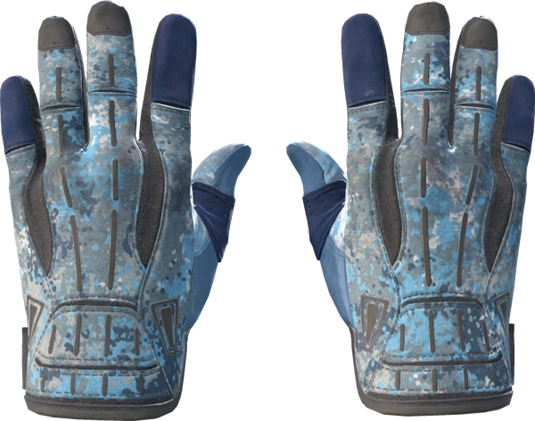 ★ Sport Gloves | Frosty