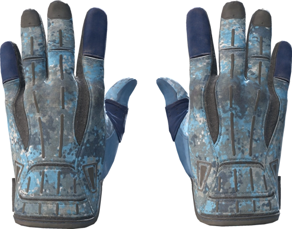 ★ Sport Gloves | Frosty
