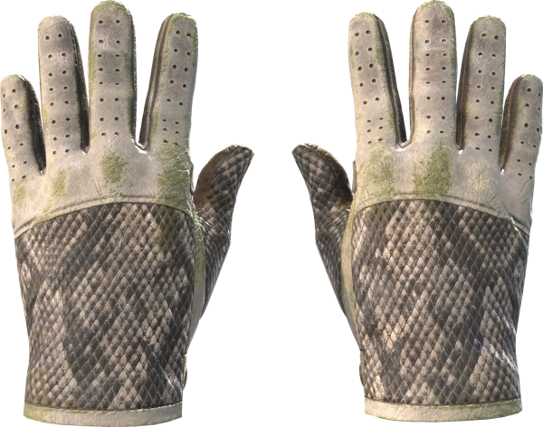 ★ Driver Gloves | King Snake