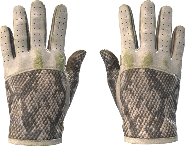 ★ Driver Gloves | King Snake