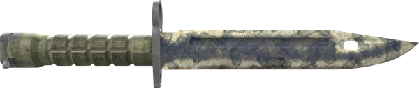 ★ Bayonet | Stained
