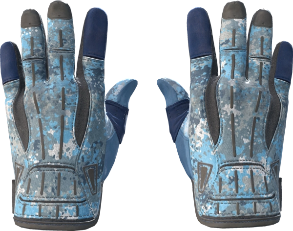 ★ Sport Gloves | Frosty