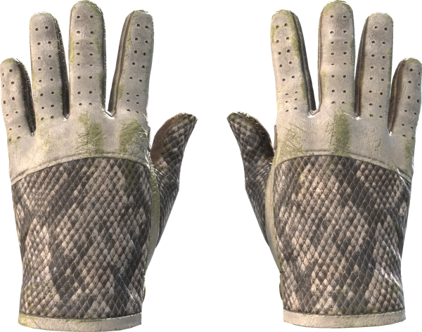 ★ Driver Gloves | King Snake