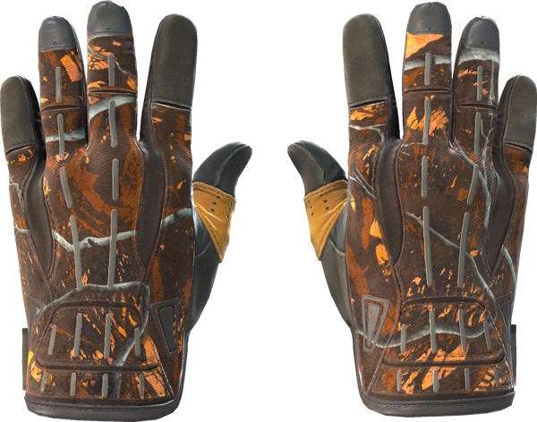 ★ Sport Gloves | Big Game