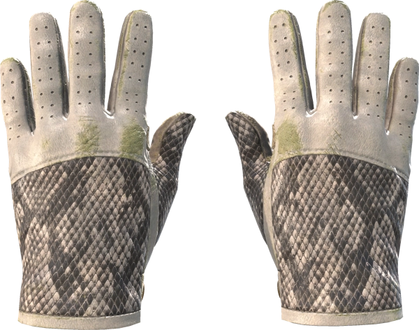 ★ Driver Gloves | King Snake
