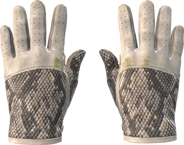 ★ Driver Gloves | King Snake