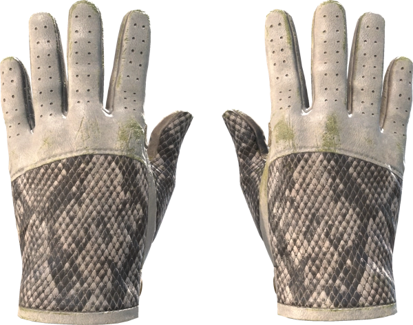 ★ Driver Gloves | King Snake