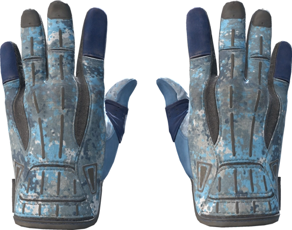 ★ Sport Gloves | Frosty