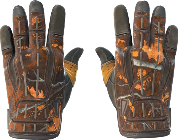 ★ Sport Gloves | Big Game