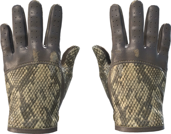 ★ Driver Gloves | Diamondback