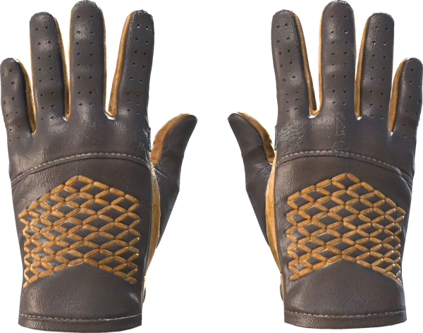★ Driver Gloves | Overtake