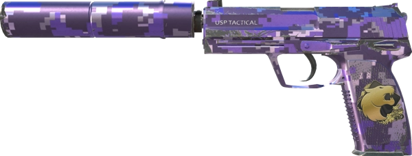 Souvenir USP-S | Purple DDPAT