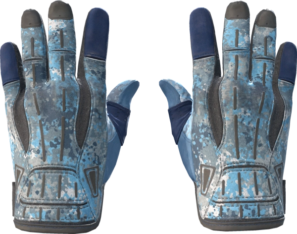 ★ Sport Gloves | Frosty