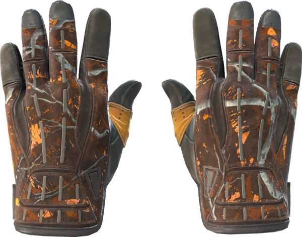 ★ Sport Gloves | Big Game