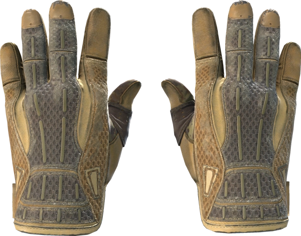 ★ Sport Gloves | Arid