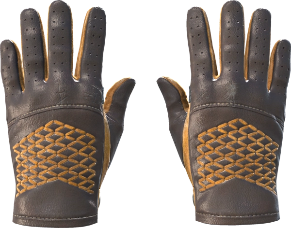 ★ Driver Gloves | Overtake