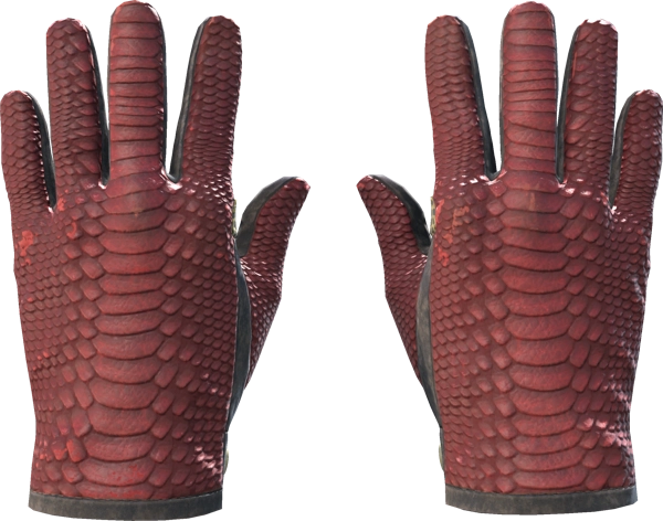 ★ Driver Gloves | Dragon Fists