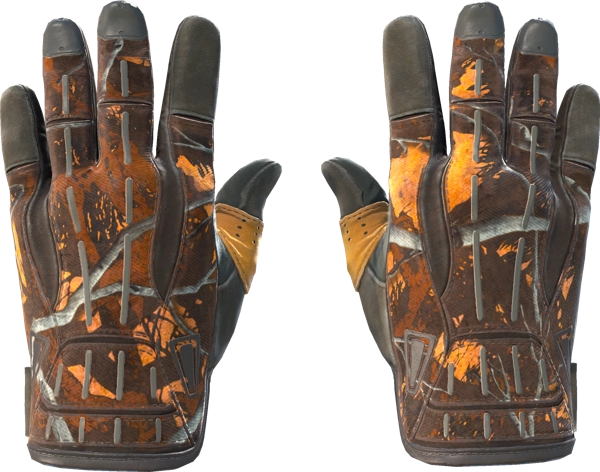 ★ Sport Gloves | Big Game
