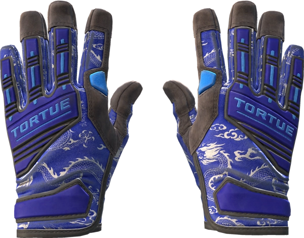 ★ Specialist Gloves | Cloud Chaser