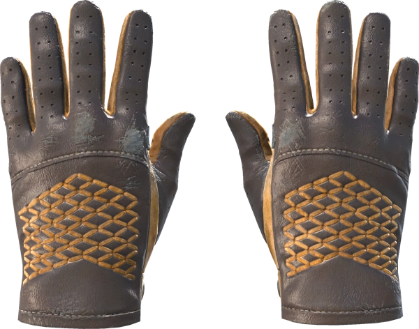 ★ Driver Gloves | Overtake
